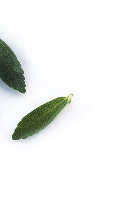 leaf deco