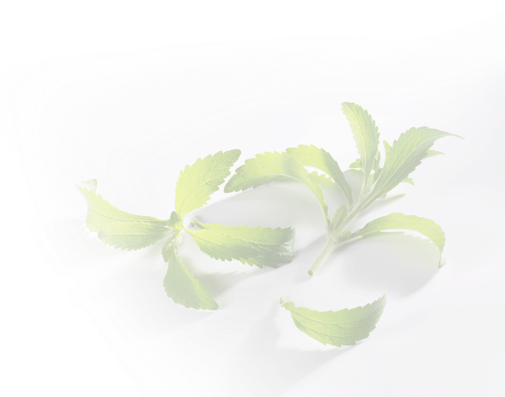 leaf image