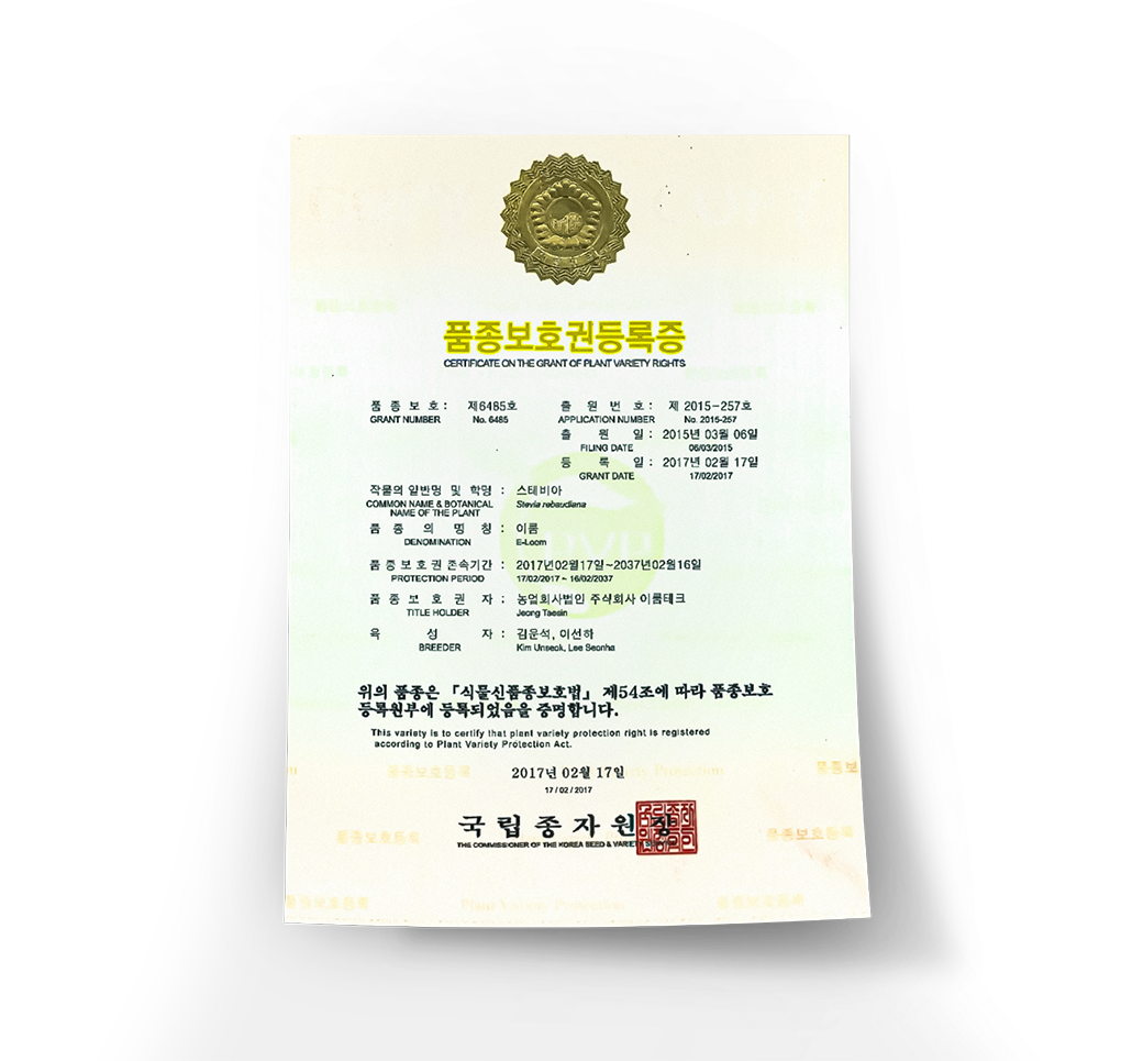 certification paper