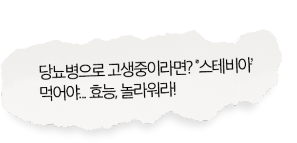 당뇨병으로 고생중이라면? 스테비아 먹어야... 효능, 놀라워라!