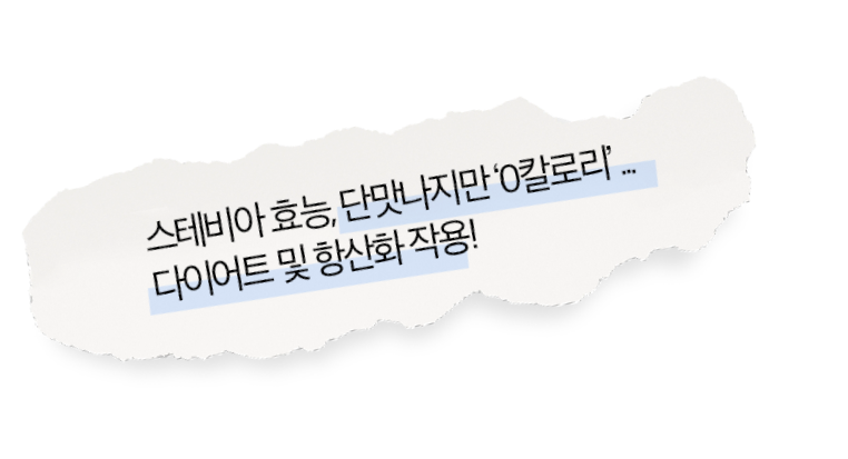 스테비아 효능, 단맛나지면 0칼로리... 다이어트 및 항산화 작용!